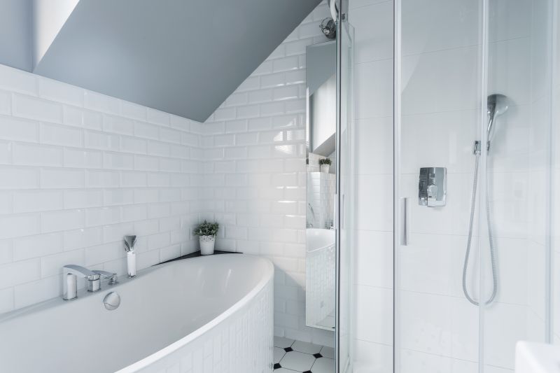 Minimalist Shower with Niche Storage
